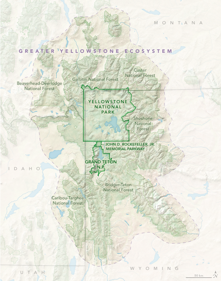 greater_yellowstone_ecosystem