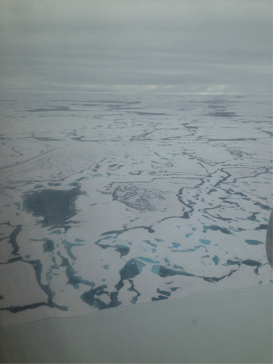 Flying over the arctic on the DC8. The dark and bright blue patches are melt pools in the ice (Credit: Christina Williamson).