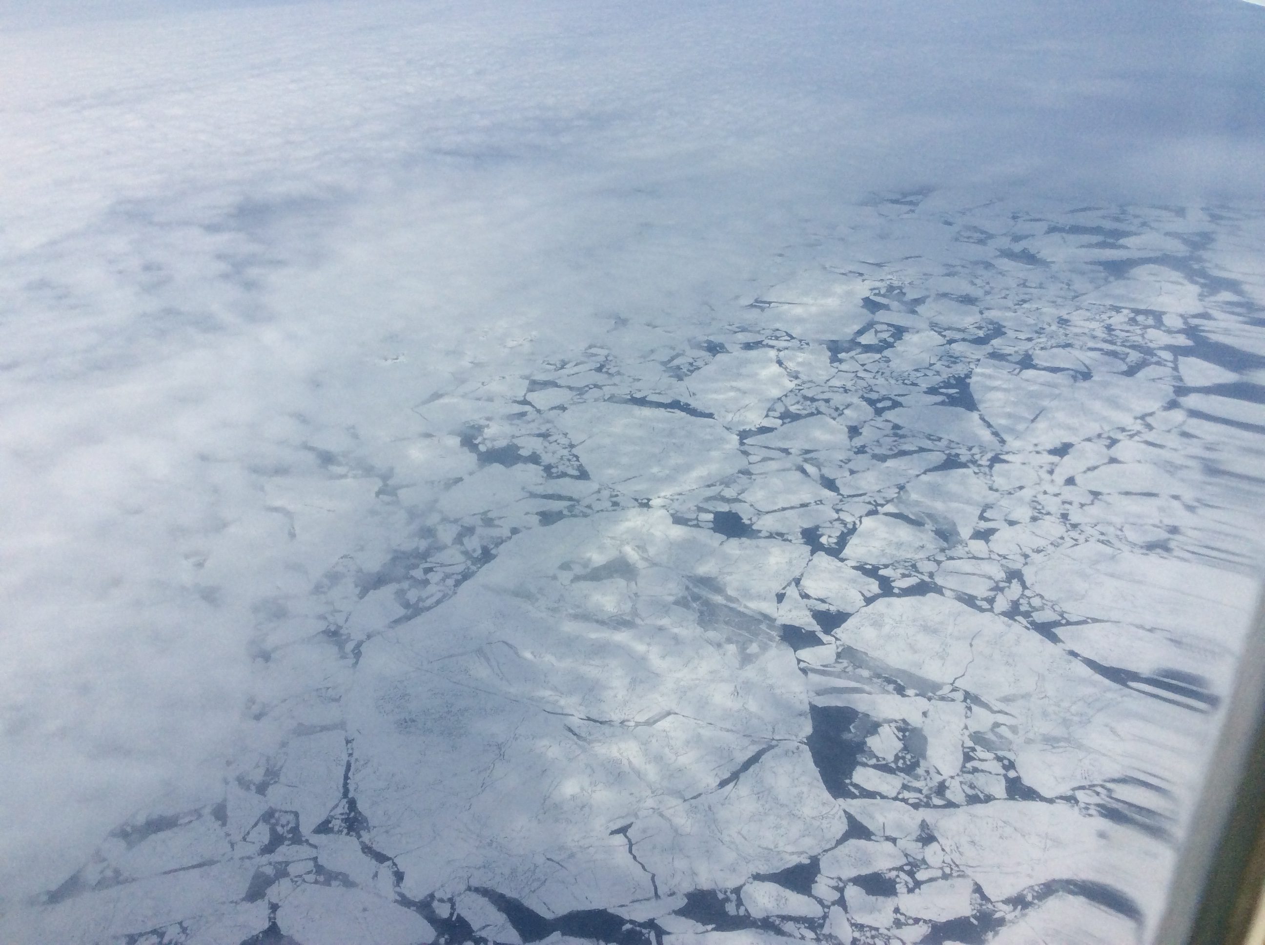 Our first glimpse through the clouds of the floating ice at 79o N on 1 August 2016. Credit: Steve Wofsy