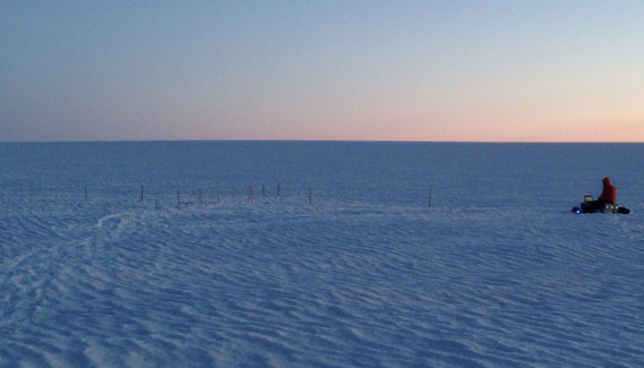 Field team! From left to right: Clem, Nick, Lynn, Anatoly and Olivia. 