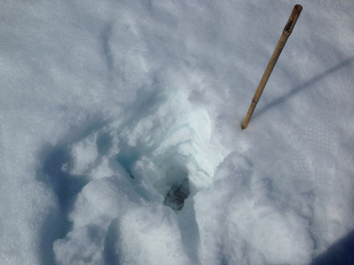 A buried plate after 30 hammer swings.