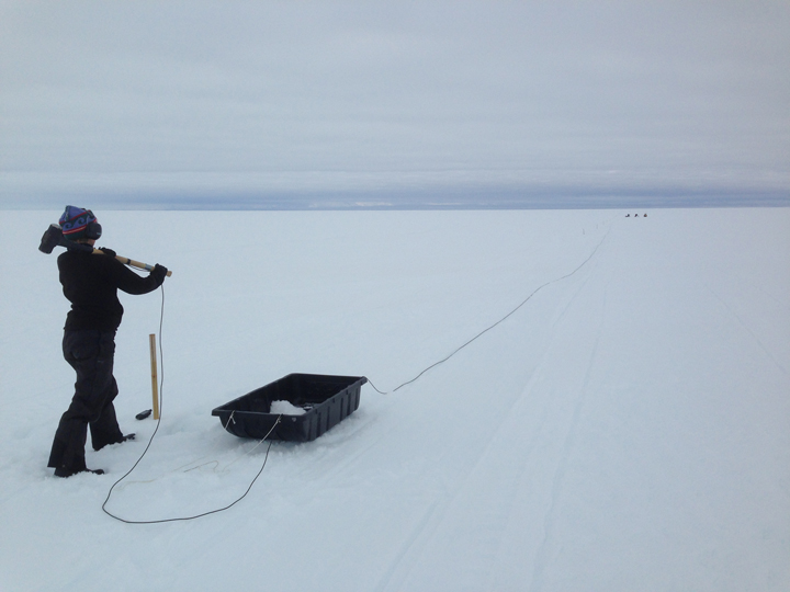 Olivia waiting for the okay to swing the hammer one more time.
