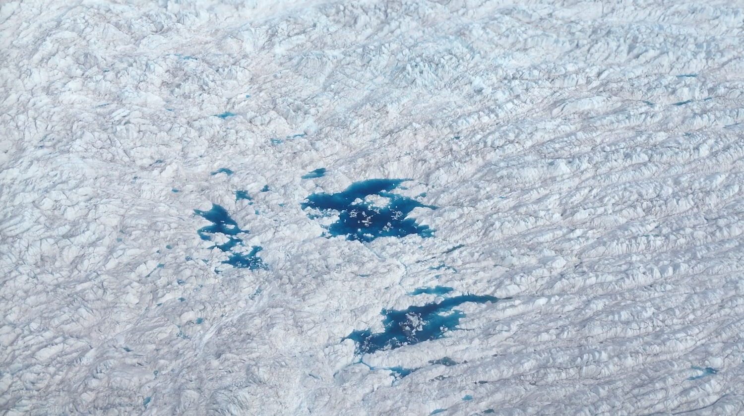 Bright blue melt ponds on the Greenland Ice Sheet. Photos by Róisín Commane