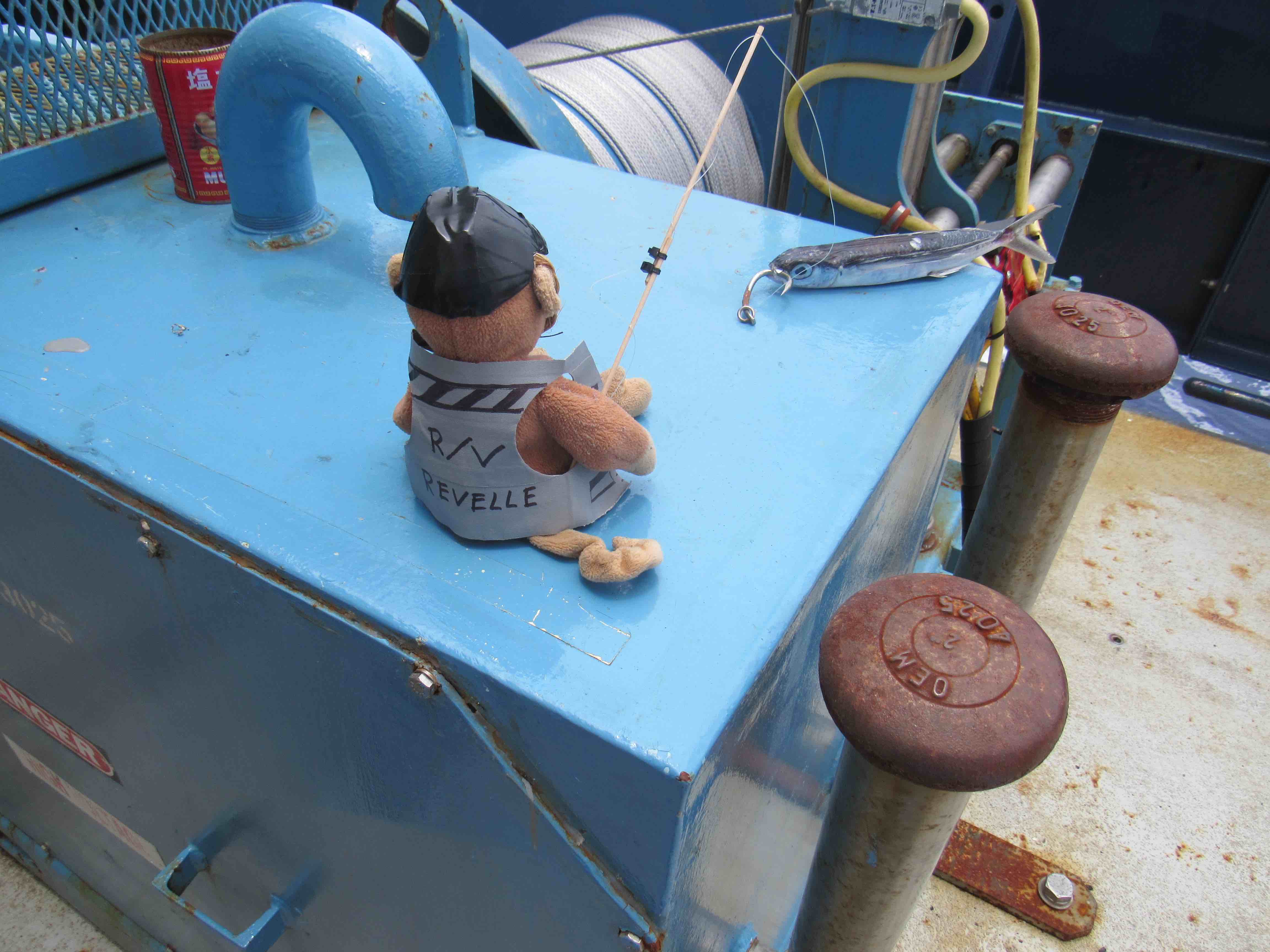 Monkey actually caught a fish!