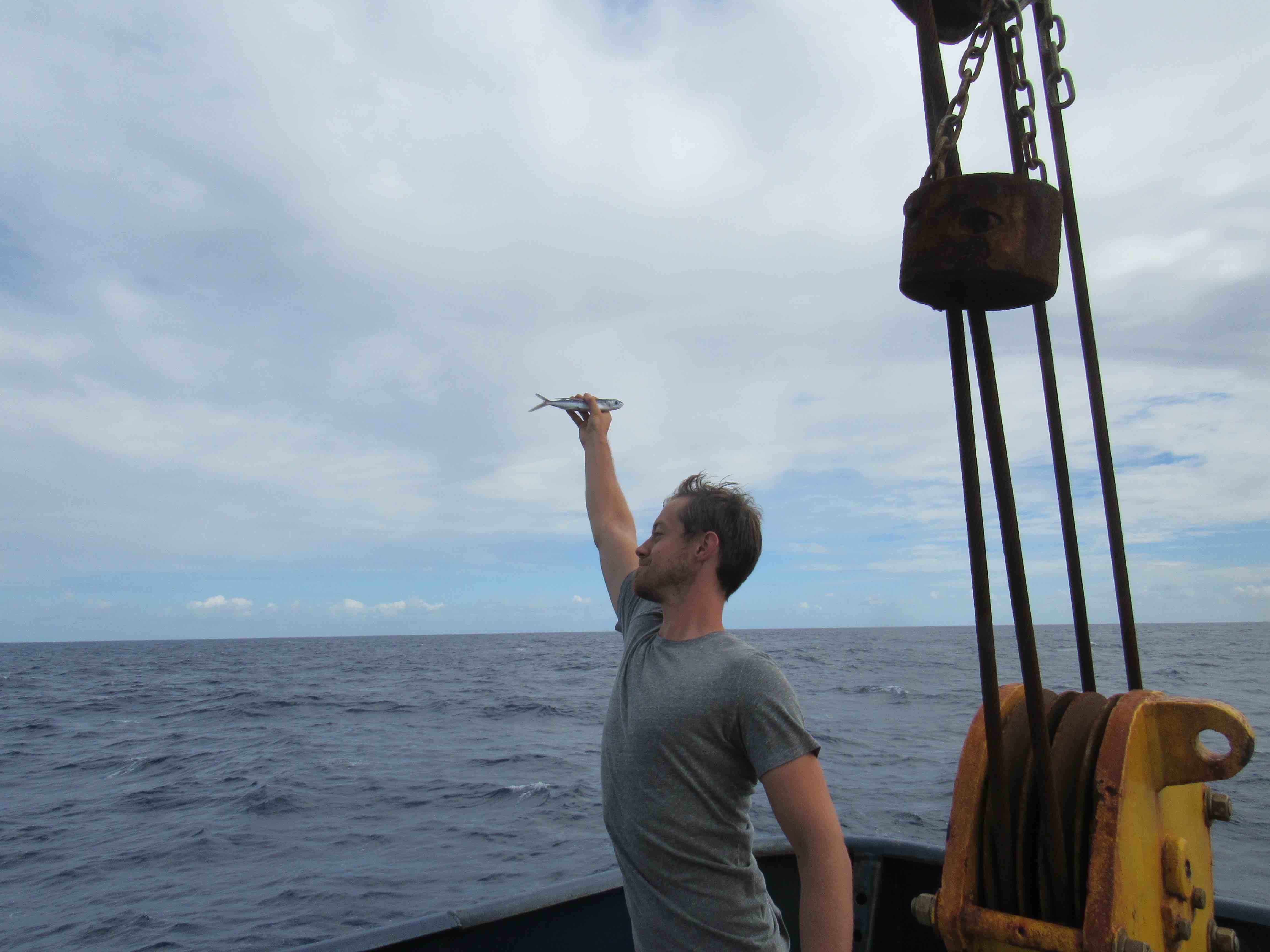 Sam Levang from WHOI catches a flying fish in flight.