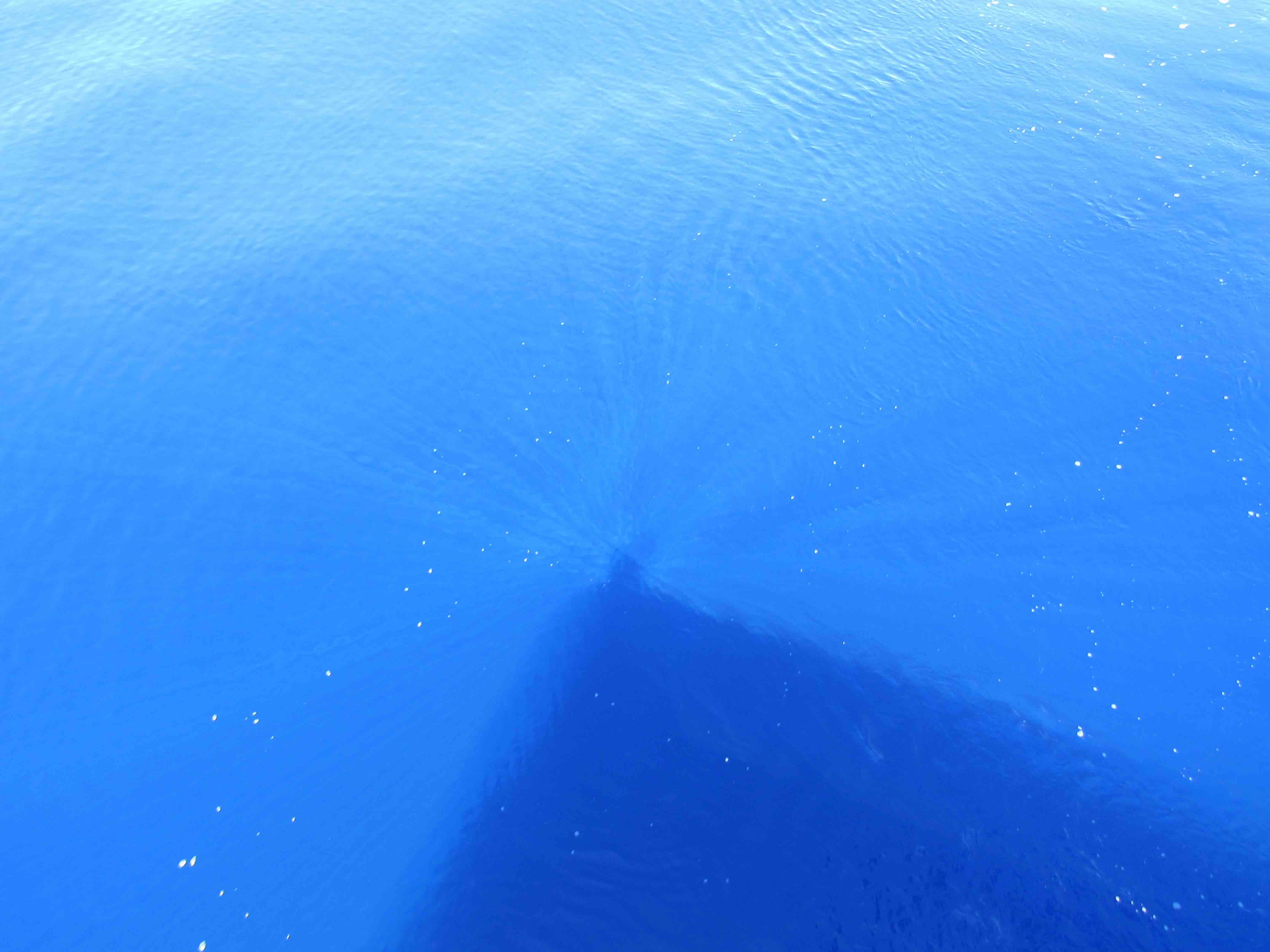 Blue ocean, with sun rays around Eric's shadow.