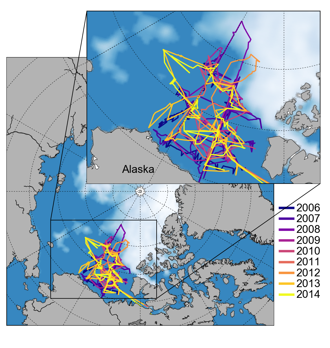 Cruise tracks from previous JOIS expeditions during 2006-2014 and the sea ice concentration around this year's summertime minimum extent on Sept. 10 (from NSIDC).