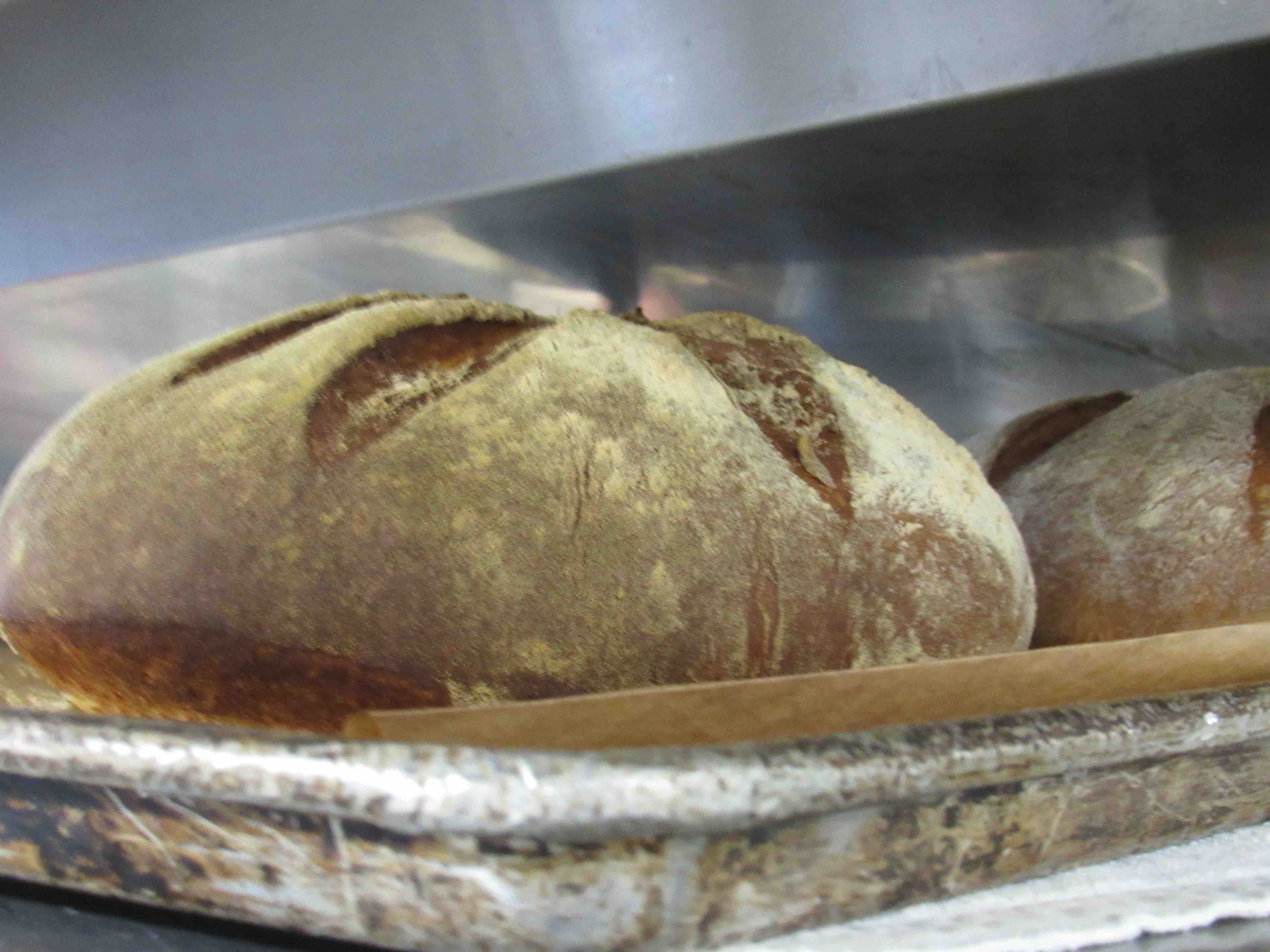 Fresh bread just out of the oven.