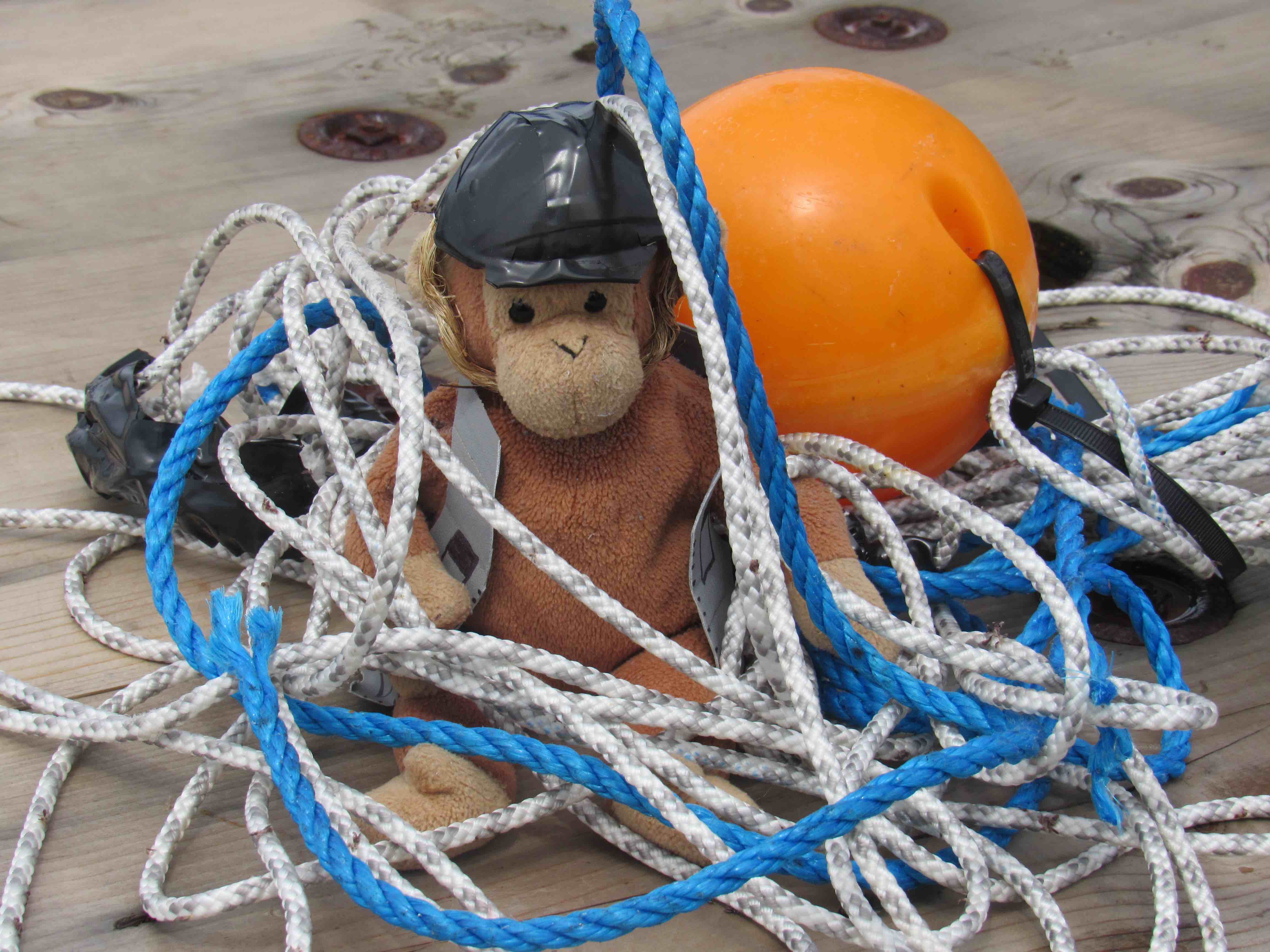 Monkey makes its own mess!