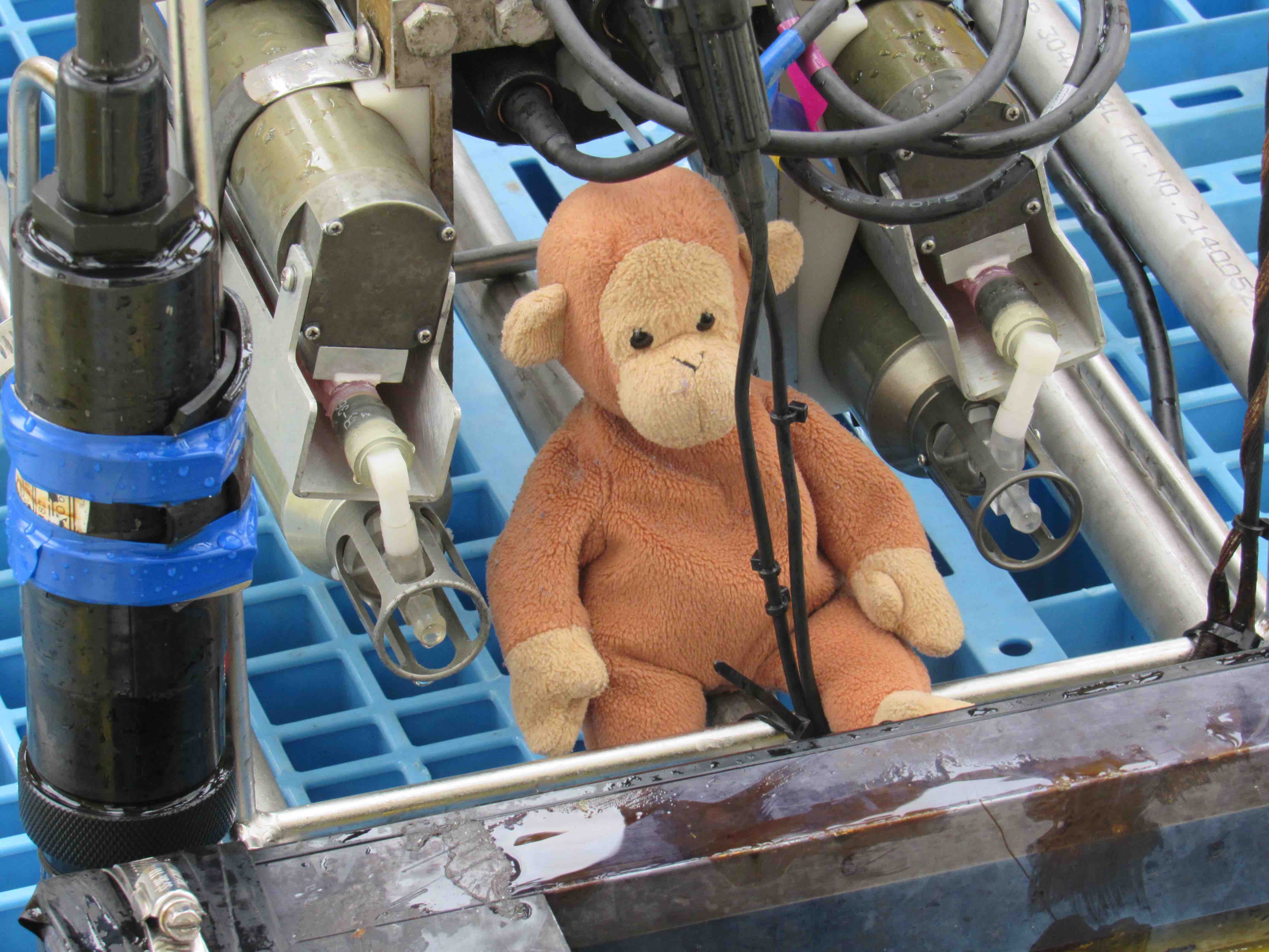 Our mixed-up Monkey looks everywhere for microstructure probes.
