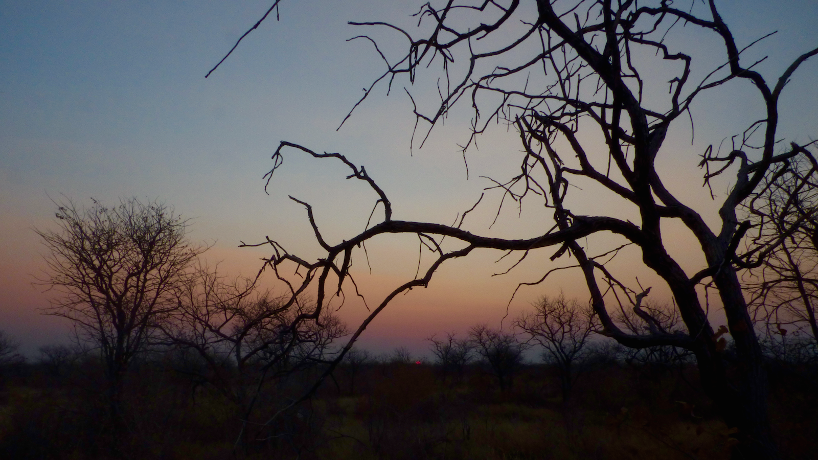 Clem, Ludo, and the science and camp cargo waiting for the helicopter to take off. (Credit: Rick Forster.)