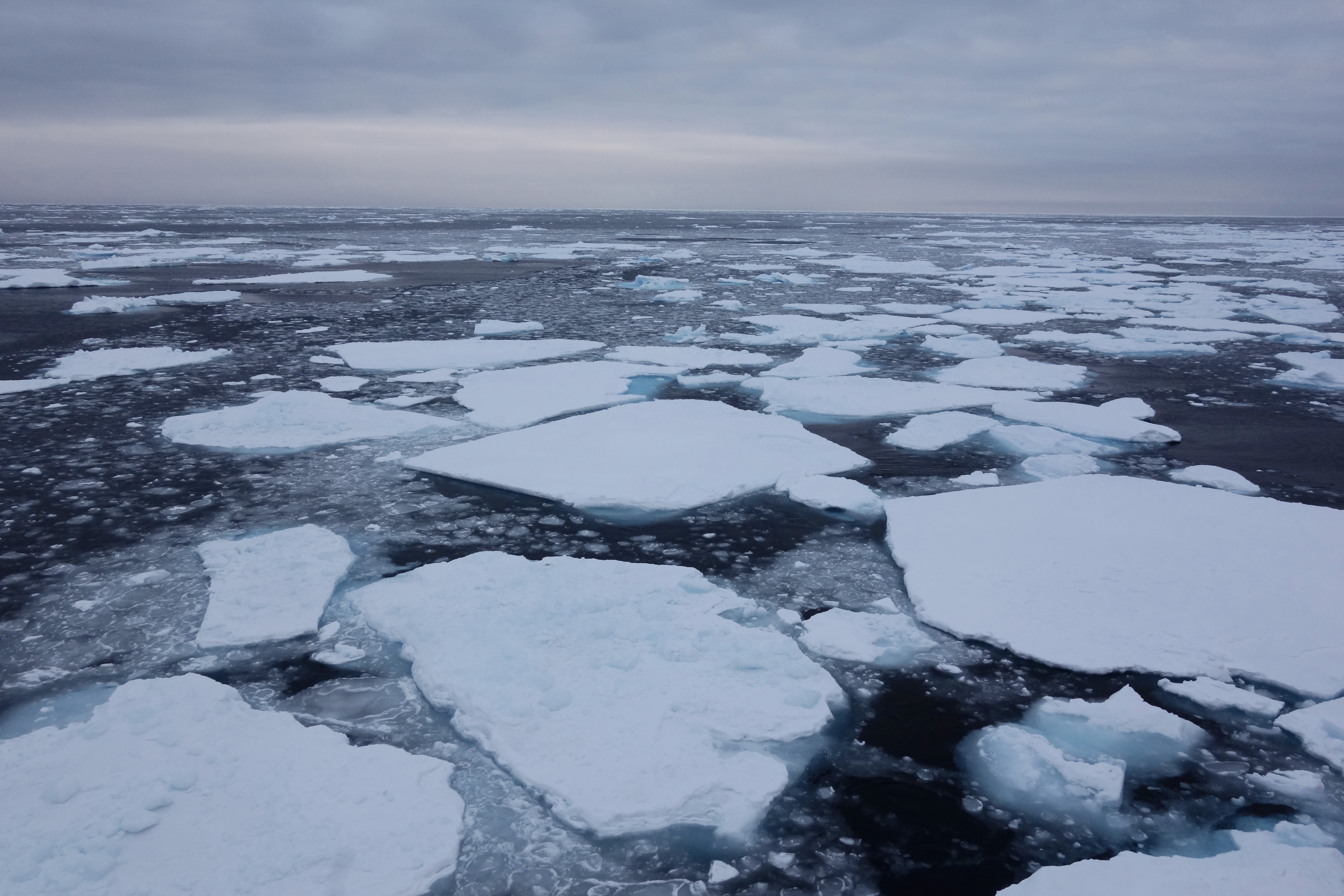 A mix of old and new sea ice floating through the northern Beaufort Sea during one of the last days of the cruise that we observed sea ice.