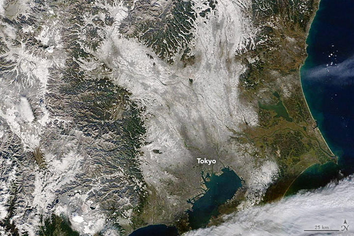 Image: NASA Earth Observatory/Joshua Stevens, using MODIS data from LANCE/EOSDIS Rapid Response.