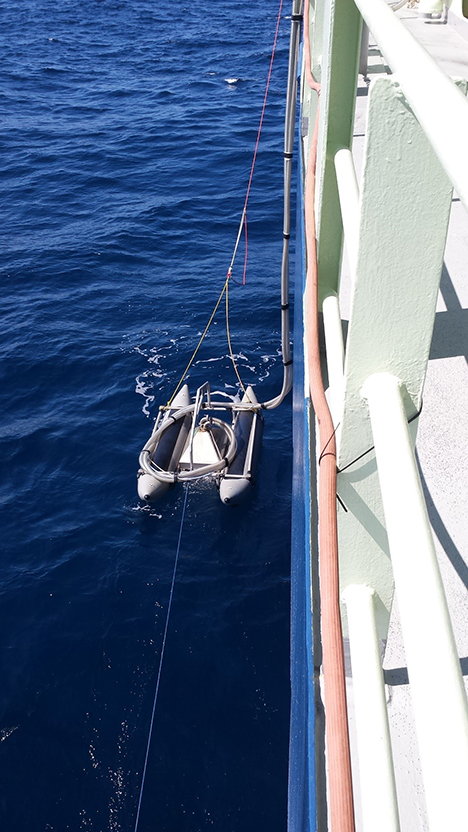 Local fulmars floating nearby of the ship. Photo:  Christian Laber