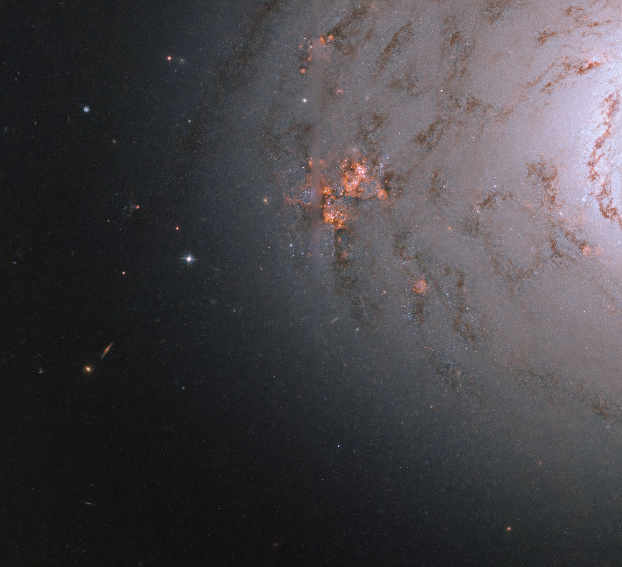 Near the right side of the image, a pale pink galactic core shines with spiraling arms of dark dust extending out to the center of the image. Dark sky interspersed with distant galaxies and stars fills the left side of the image. A bright patch of reddish stars is near the center. A vertical blurred line down the image’s center represents a region where no Hubble data was taken.