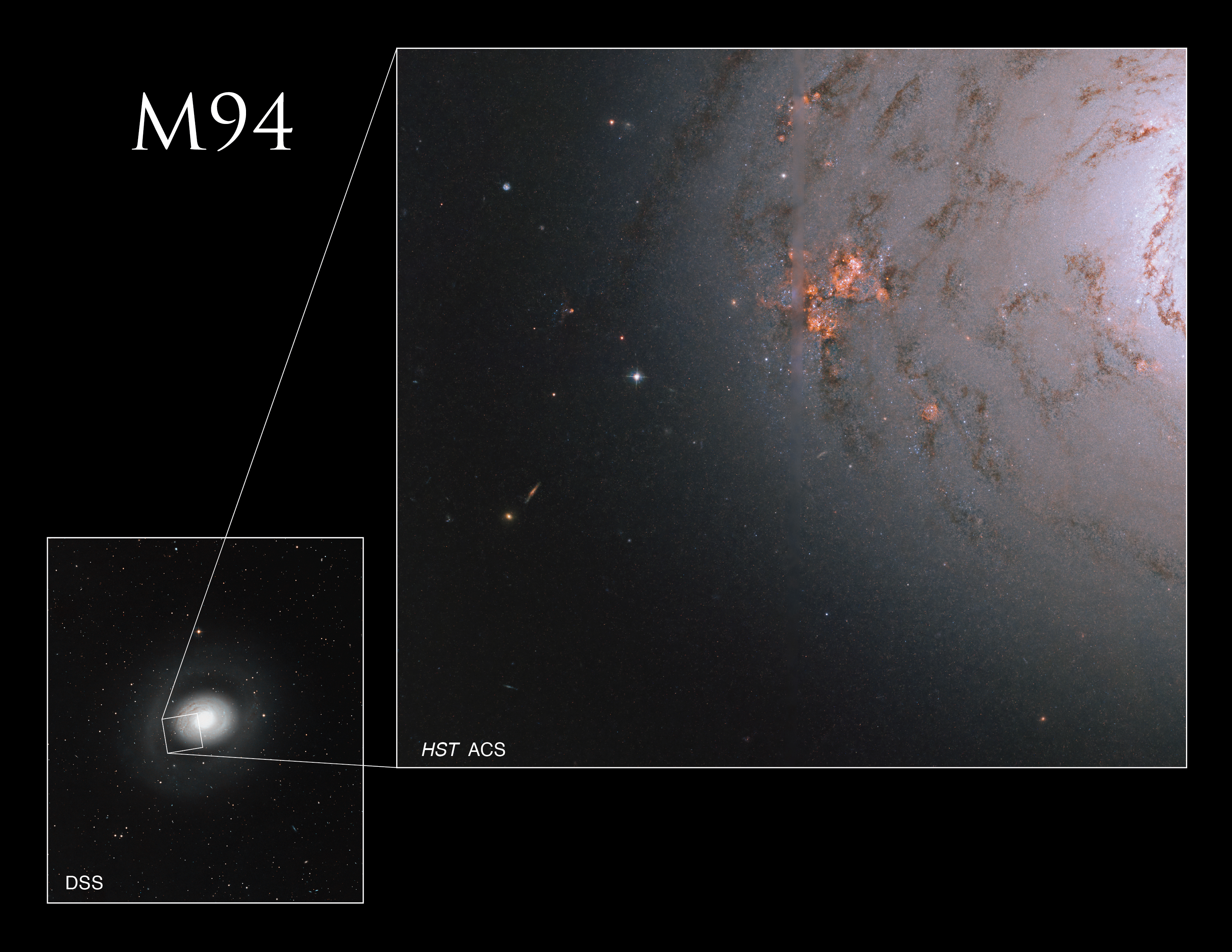 Left, Digitized Sky Survey Image: A small, black and white image of a galaxy seen face on. The galaxy has a bright-white center with wide concentric rings that dim as you move outward from the galaxy's core. Right, Hubble image: Near the right side of the image, a pale pink galactic core shines with spiraling arms of dark dust extending out to the center of the image. Dark sky interspersed with distant galaxies and stars fills the left side of the image. A bright patch of reddish stars is near the center. A vertical blurred line down the image’s center represents a region where no Hubble data was taken.
