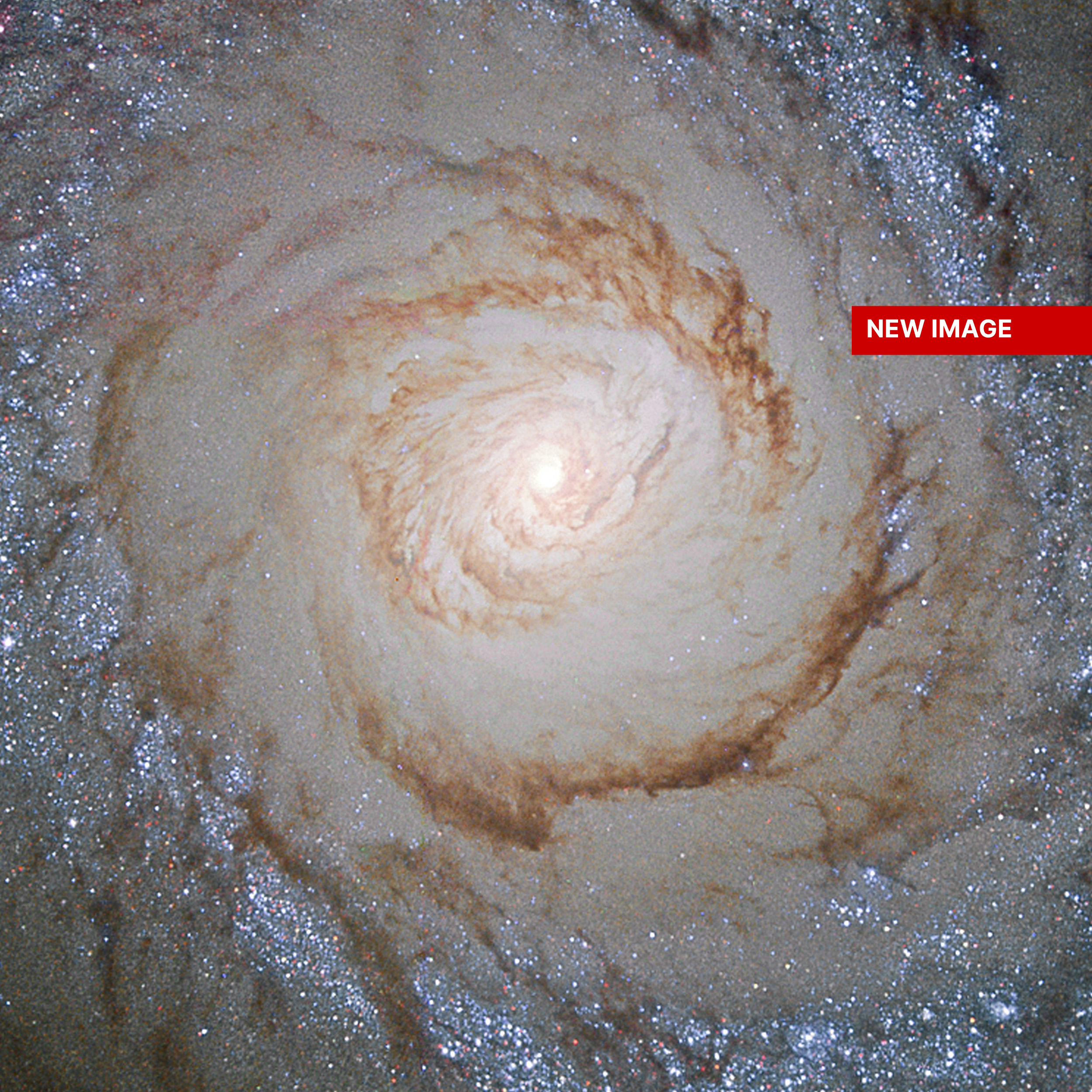 A bright yellow galaxy core shines, surrounded by spiraling arms laced through with dark dust and blue-white regions of new stars. A red box near the upper-right corner holds the phrase "New Image" in white letters.