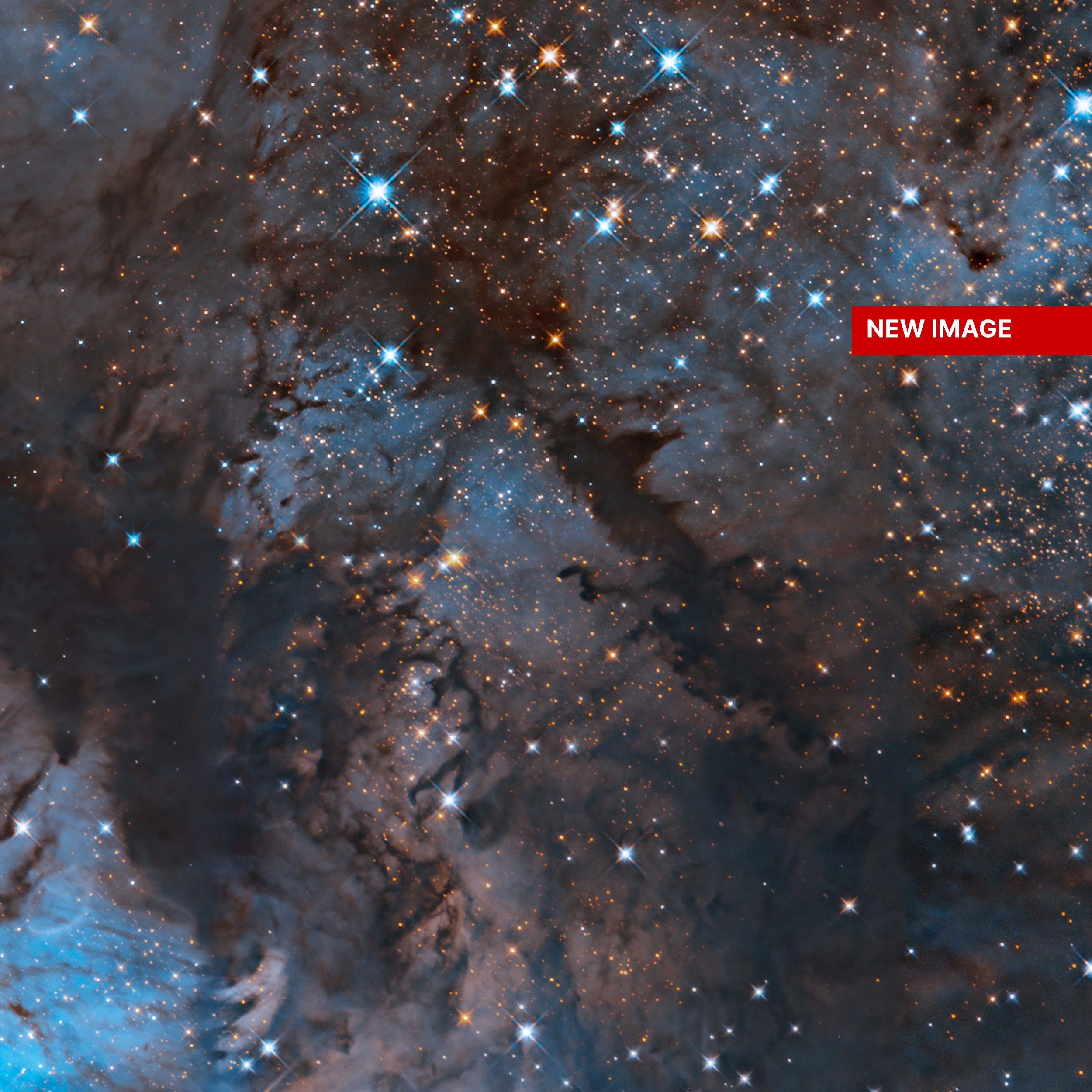 Blue and orange stars glitter across the image, interwoven with dark clouds of brown dust and bright, glowing regions of blue. A red rectangle near the upper-right corner holds white lettering that says, "New Image."