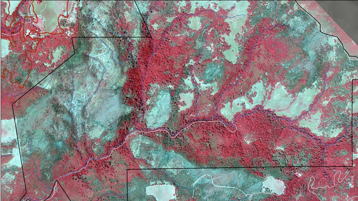 A infrared map of canopy damage from fire in Sonoma, CA