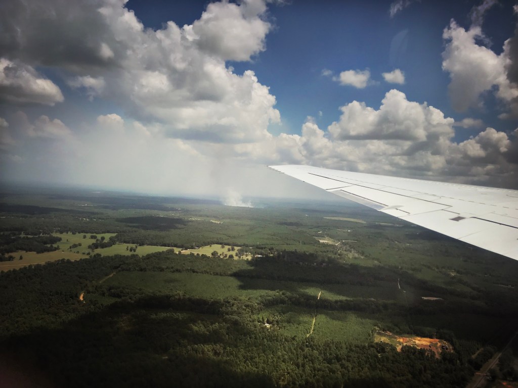 
			A Scavenger Hunt for Fire - NASA Science			