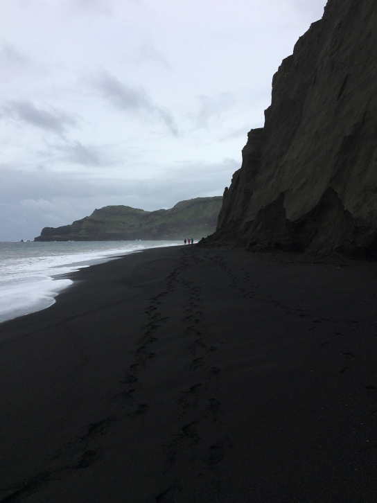 The cliffs and surf on the south shore of HTHH. Credit: SEA