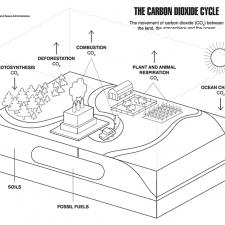 Carbon Dioxide coloring page