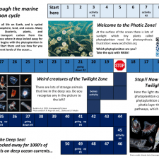 Carbon cycle game