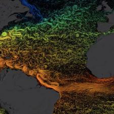 Global sea surface