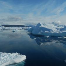 Sea with icebergs