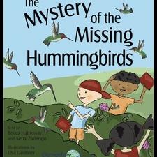 Mystery of missing hummingbirds illustration