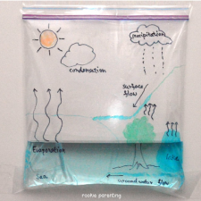 Water cycle in bag