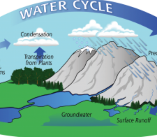 Water Cycle illustration