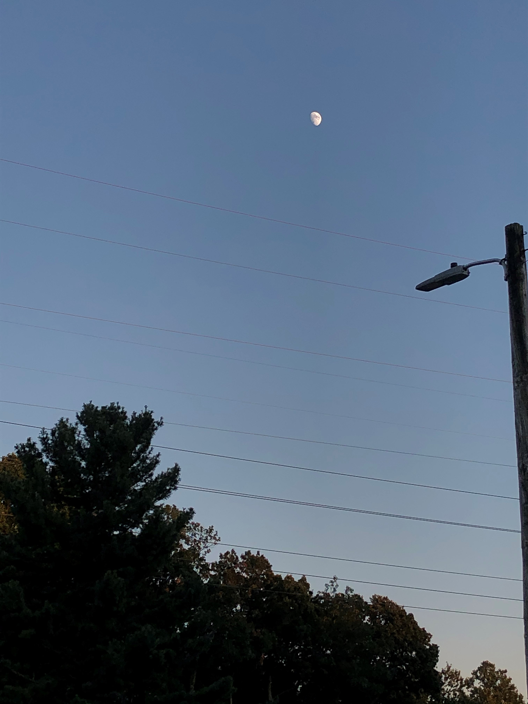 Cell phone photo of the Moon