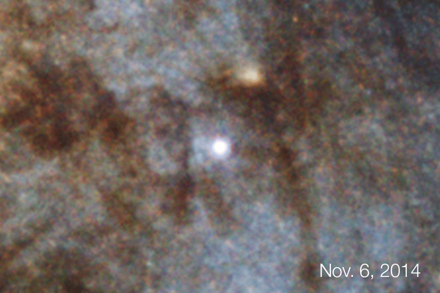 Animated gif of a white star brightening at center of the image. The light pulse expands outward in rings of gas and dust that are illuminated. Background is bluish-grey and filled with stars. Dark brown clouds seem to be in the foreground.