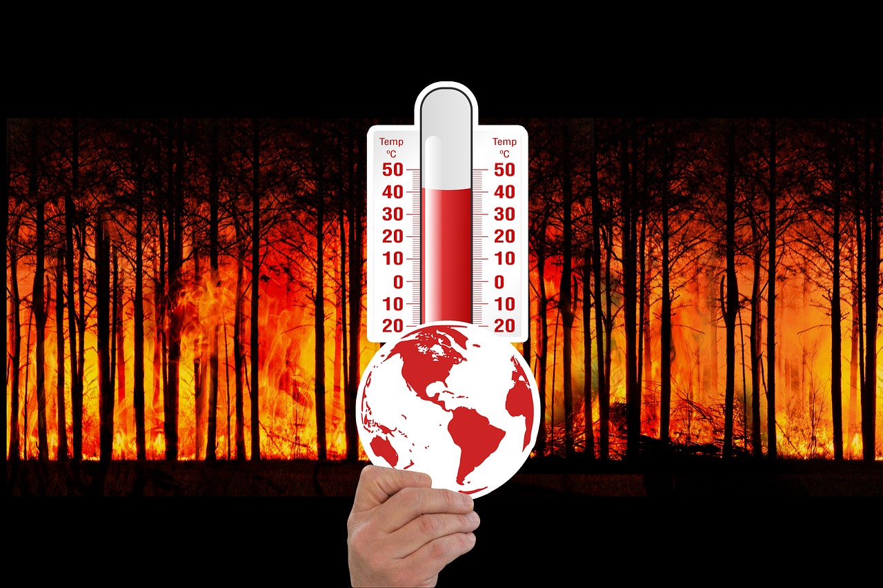 global warming disadvantages essay