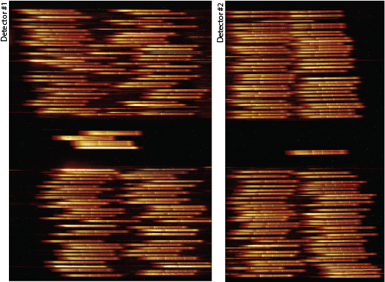 In this commissioning test image, a subset of a NIRSpec multi-object spectroscopy exposure, many horizontal stripes each represent a spectrum that scientists will be able to analyze to better understand the composition and properties of the gas between the stars – for example, through the study of emission lines that show up at small, brighter, slightly tilted vertical lines in these spectra.