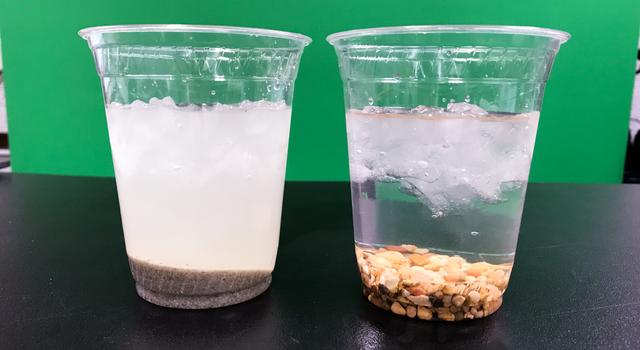 Two clear plastic cups sit on a table next to one another. The left one is mainly filled with slushy water with a bit of sand at the bottom while the right cup has rocks at the bottom, clear water in the middle, and slushy water at the top.
