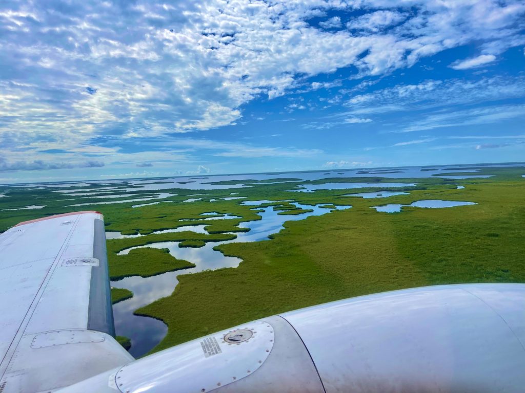 
			The Adventures of NASA Scientists through the Florida Marshes - NASA Science			
