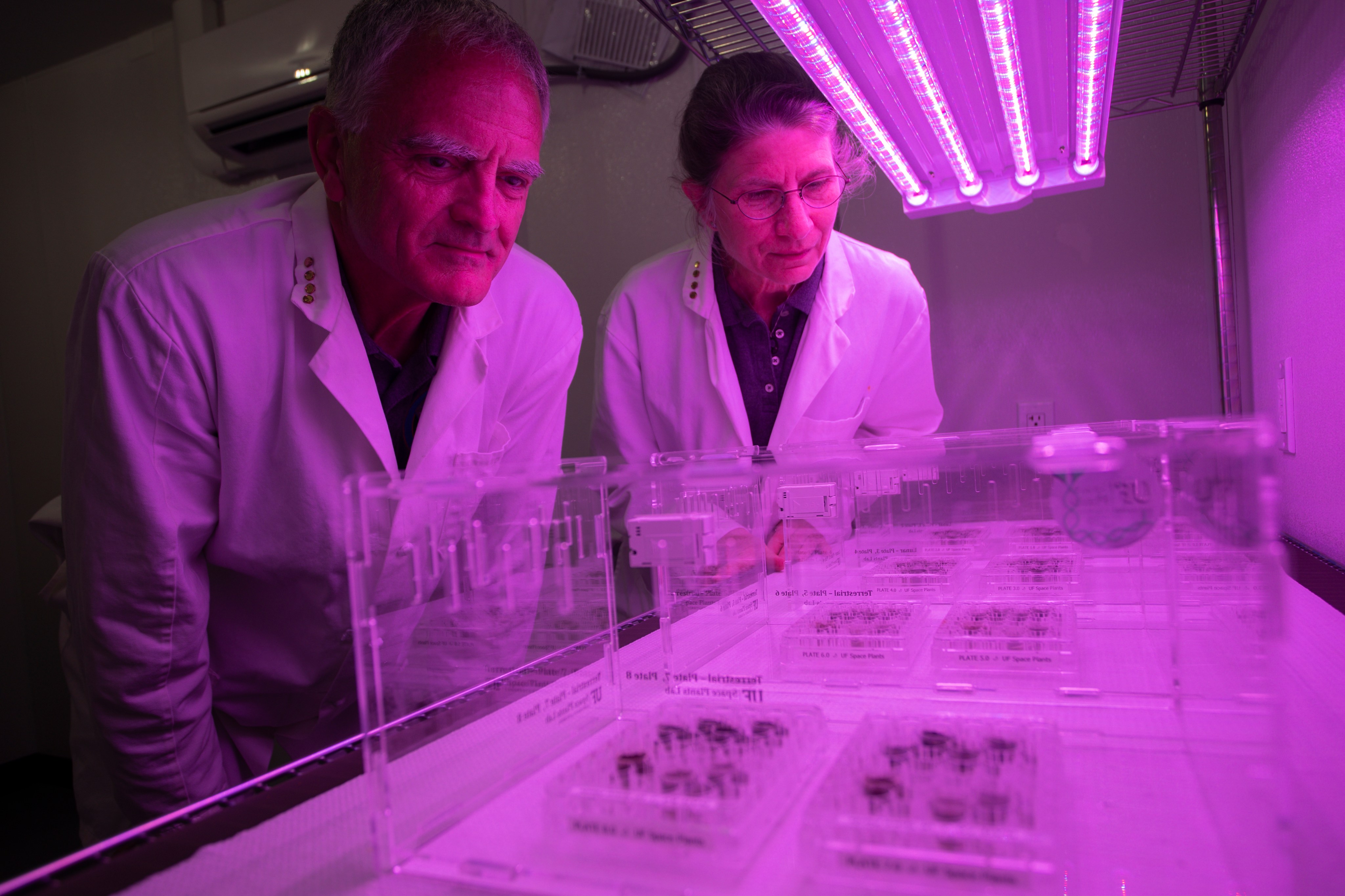 Two scientists closely observe plants growing under an LED growing light. Some of the plants are in lunar soil.