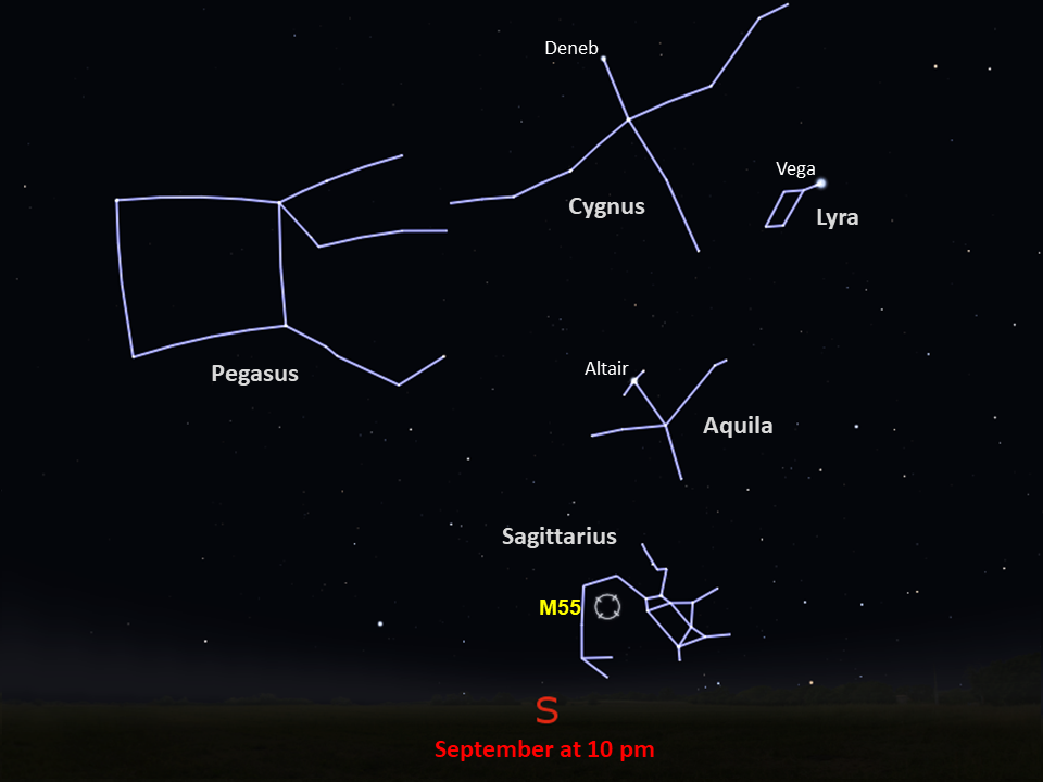 A starchart that shows the location of M55 in the constellation Sagittarius above the southern horizon in September at 10 pm.