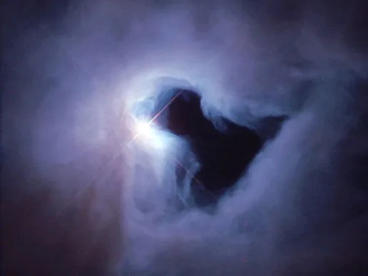 
			The Reflection Nebula in Orion - NASA Science			