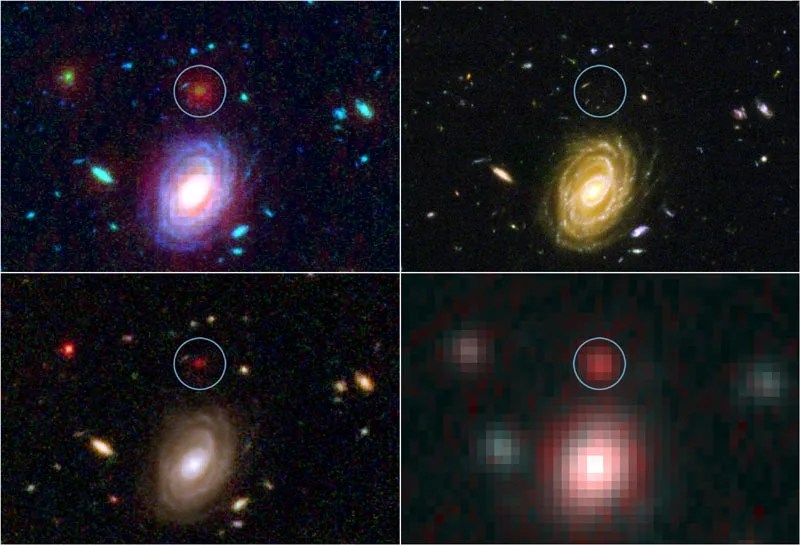 Spitzer and Hubble Space Telescopes image HUDF-JD2, one of the most distant galaxies ever seen. Top left, a combined visible and infrared view; top right, Hubble's visible ligh viwe; lower left, Hubble's infrared view; lower right, Spitzer's infrared view.