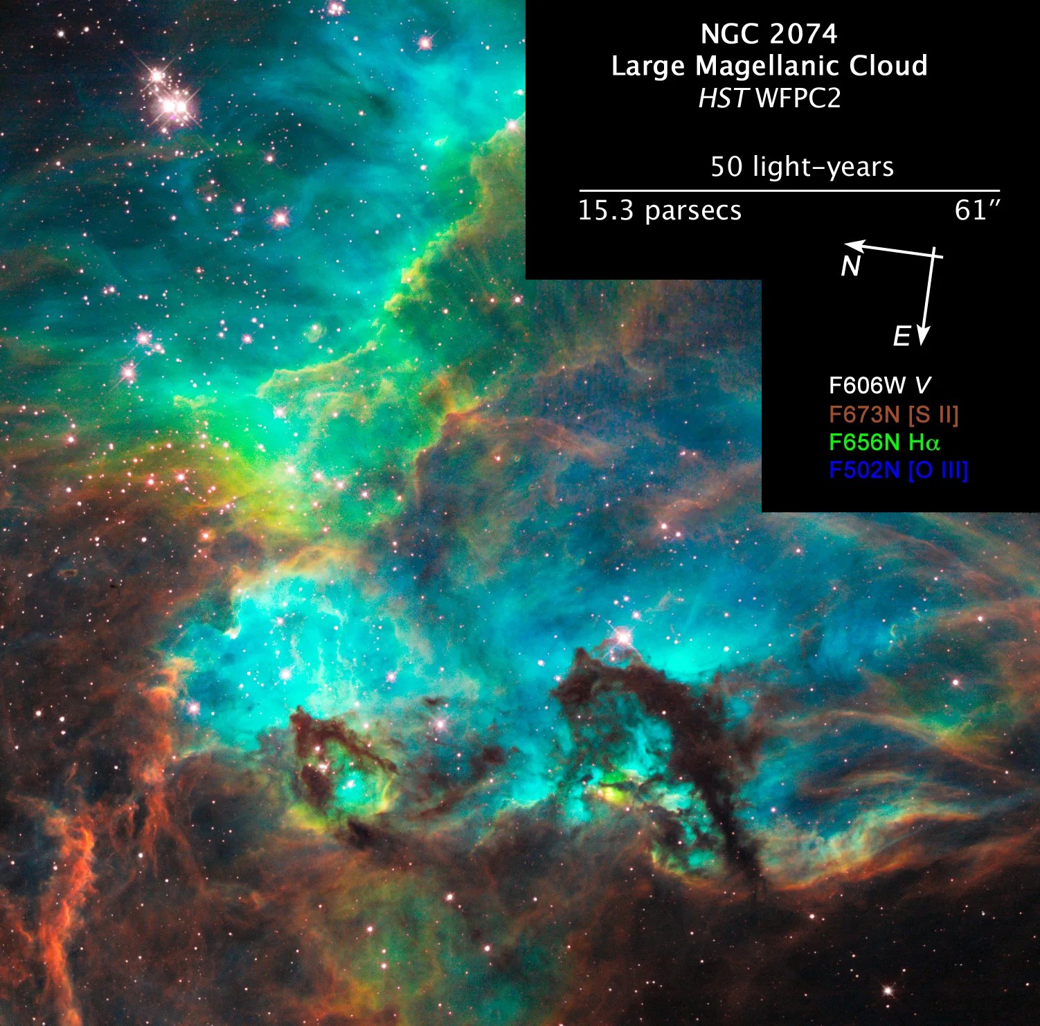 Image of nebula near star cluster NGC 2074