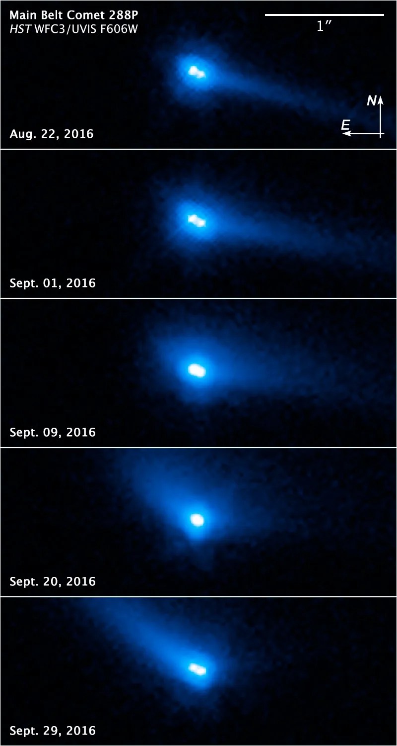 panel showing 6 views of blue blobs on black