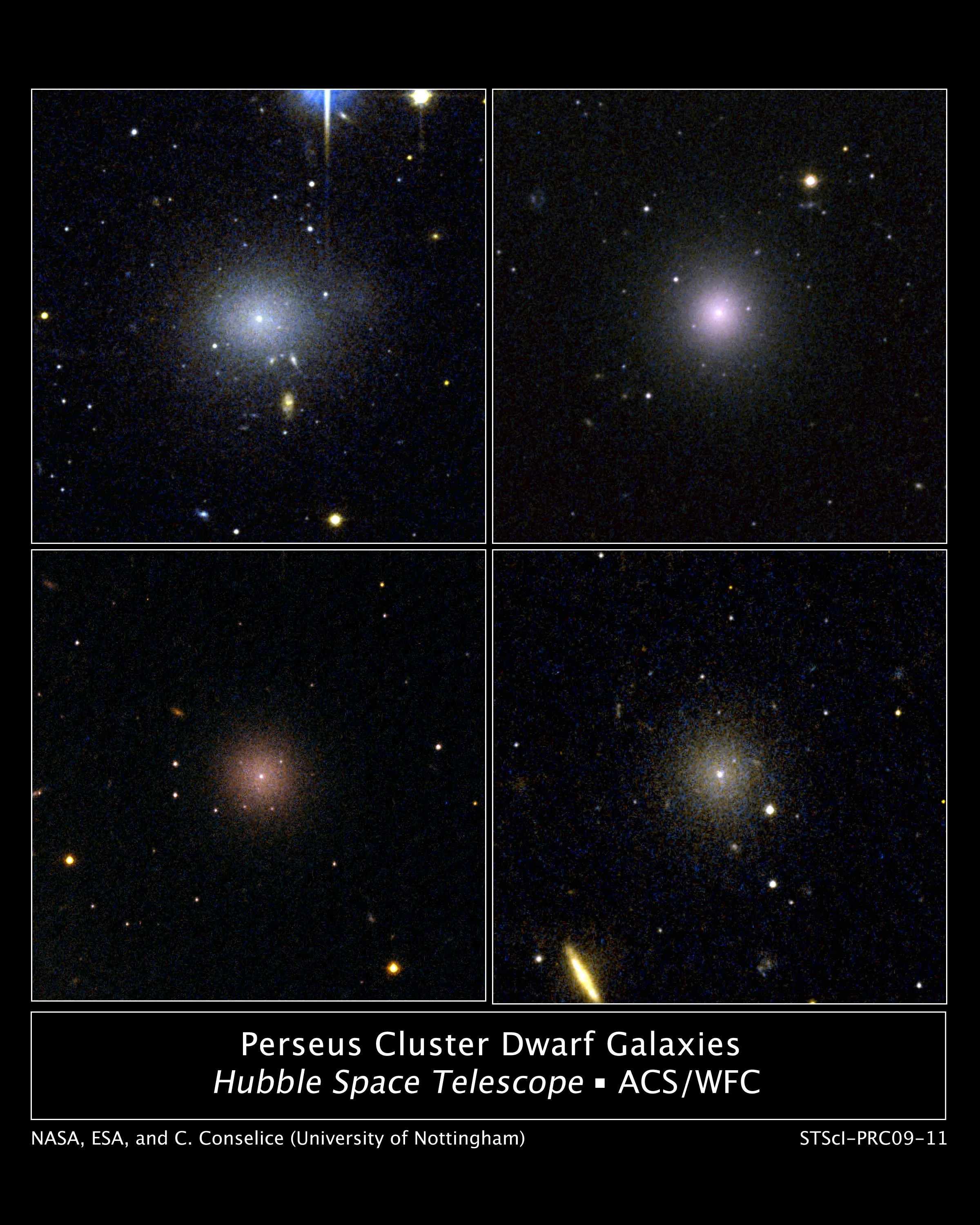 HST images of Perseus Cluster dwarf galaxies