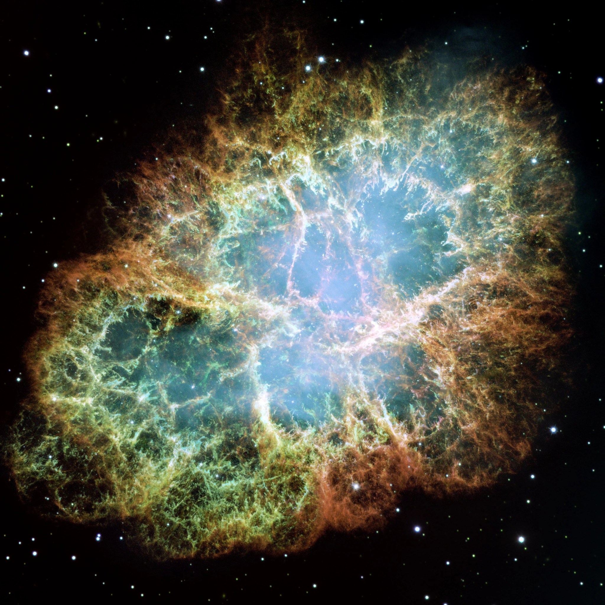 The crab nebula