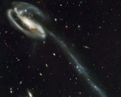 Hubble image of the Tadpole Galaxy