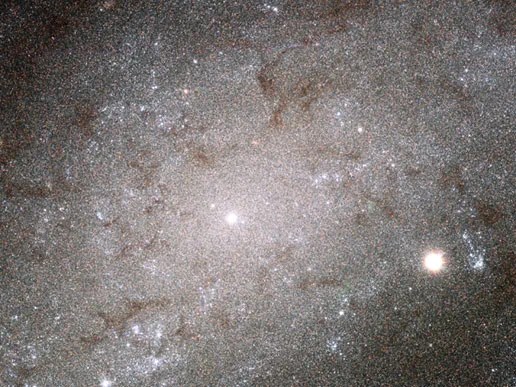 Hubble image of galaxy NGC 300
