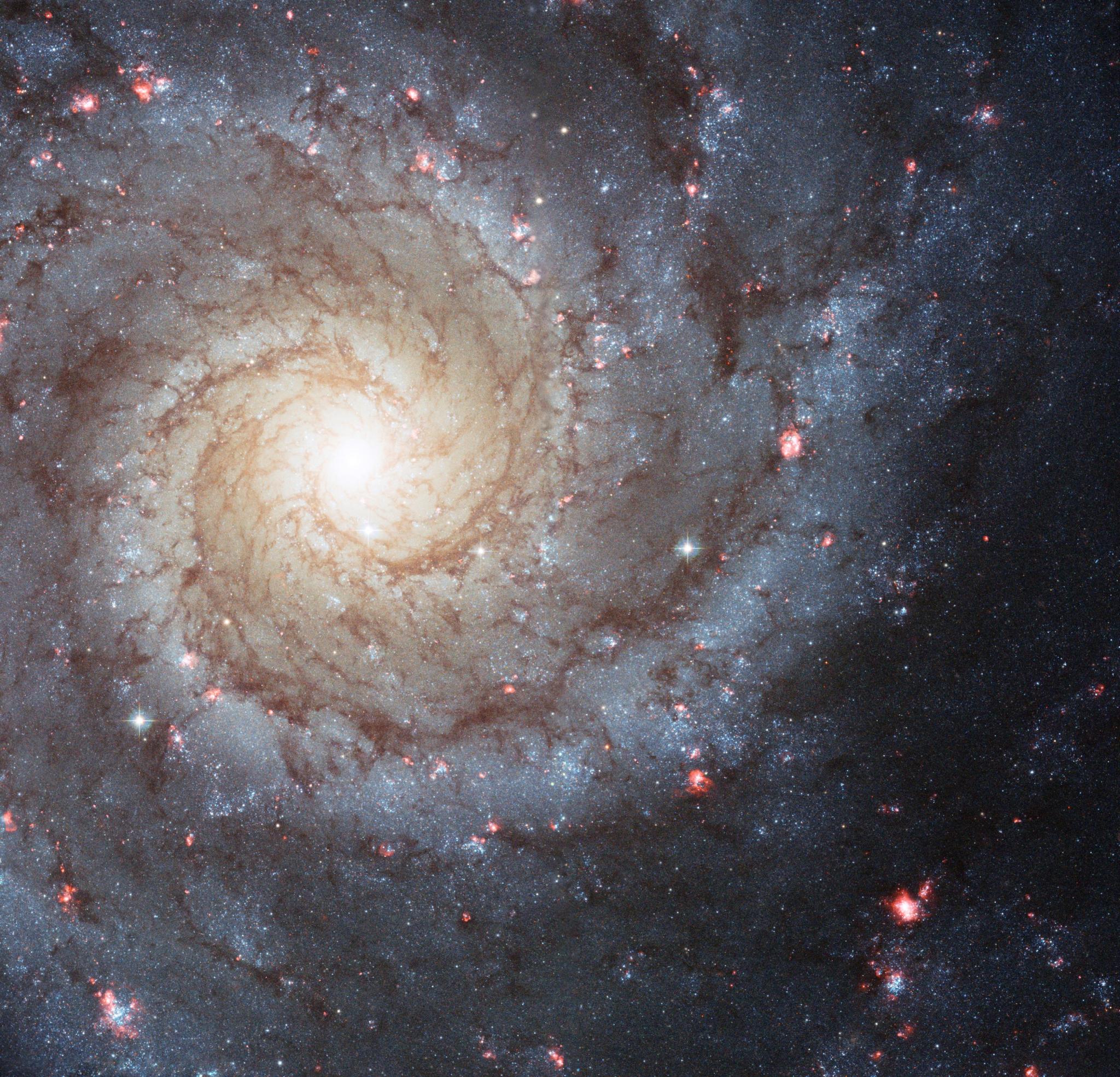 Spiral galaxy