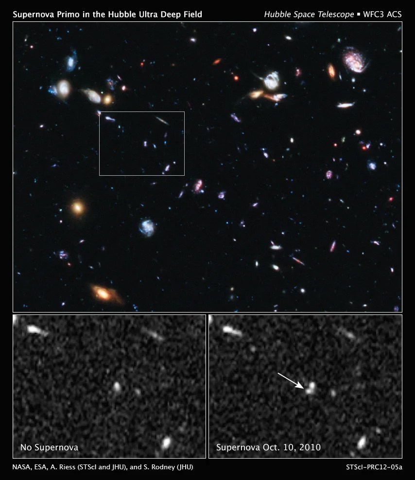 Supernova SN Primo